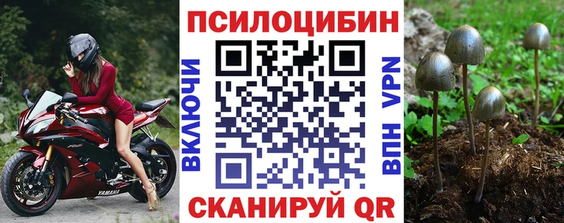 Псилоцибиновые грибы ЛСД  Заводоуковск 