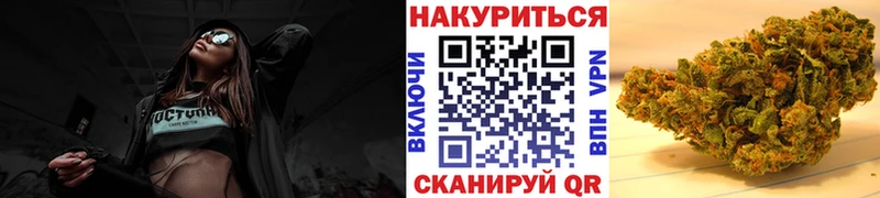 ссылка на мегу tor  купить  цена  Заводоуковск  Бошки марихуана марихуана 